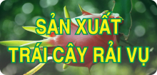 Các quy trình canh tác các cây ăn quả